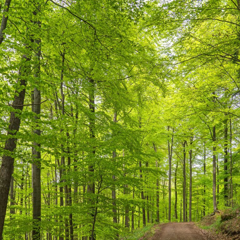 Beispielbild Natur Wochenene